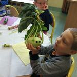 Powiększ zdjęcie: IMG_20191010_103140.jpg