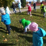 Powiększ zdjęcie: IMG_20191007_095246.jpg