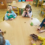 Powiększ zdjęcie: IMG_20191011_101821.jpg