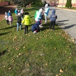 Powiększ zdjęcie: IMG_20191007_095323.jpg