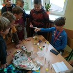 Powiększ zdjęcie: IMG_20191010_081810.jpg