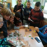Powiększ zdjęcie: IMG_20191010_082048.jpg