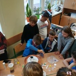 Powiększ zdjęcie: IMG_20191010_082349.jpg