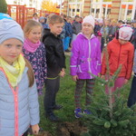 Powiększ zdjęcie: IMG_7594.JPG