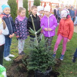 Powiększ zdjęcie: IMG_7598.JPG