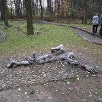 Powiększ zdjęcie: IMG_20191026_110920.jpg
