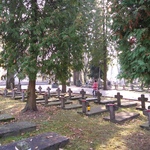 Powiększ zdjęcie: 20191025_114938.jpg