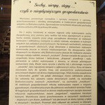 Powiększ zdjęcie: IMG_7546.JPG