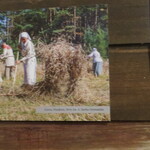 Powiększ zdjęcie: IMG_7564.JPG