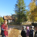 Powiększ zdjęcie: IMG_7524.JPG