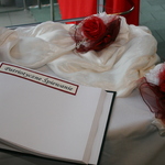 Powiększ zdjęcie: IMG_4271.JPG