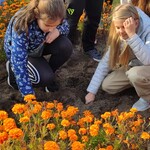 Powiększ zdjęcie: IMG_20191024_133906 (Kopiowanie).jpg