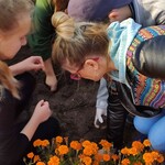 Powiększ zdjęcie: IMG_20191024_134134 (Kopiowanie).jpg