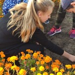 Powiększ zdjęcie: IMG_20191024_134149 (Kopiowanie).jpg