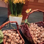 Powiększ zdjęcie: IMG_20191008_105938 (Kopiowanie).jpg