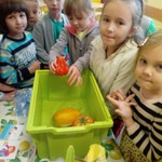 Powiększ zdjęcie: 75485169_2516099271998742_4182494961649844224_n.jpg