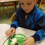 Powiększ zdjęcie: IMG_20191128_081704.jpg