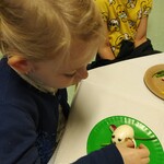 Powiększ zdjęcie: IMG_20191128_081757.jpg