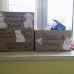 Powiększ zdjęcie: 20191115_111105.jpg