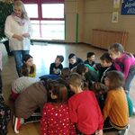 Powiększ zdjęcie: IMG_20200108_091029.jpg