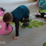 Powiększ zdjęcie: IMG_20200109_095636.jpg