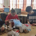 Powiększ zdjęcie: IMG_20200207_110327 (Kopiowanie).jpg