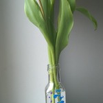 Powiększ zdjęcie: WP_20200415_001.jpg