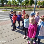 Powiększ zdjęcie: IMG_20200914_115409.jpg