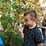 Powiększ zdjęcie: IMG_20200925_125329.jpg