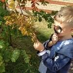 Powiększ zdjęcie: IMG_20200925_125544.jpg