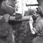 Powiększ zdjęcie: miś wojtek3.jpg