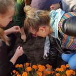 Powiększ zdjęcie: IMG_20191024_134134 (Kopiowanie).jpg