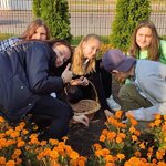 Powiększ zdjęcie: IMG_20191024_134751 (Kopiowanie).jpg