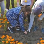 Powiększ zdjęcie: IMG_20191024_134053 (Kopiowanie).jpg
