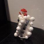 Powiększ zdjęcie: 20201214_193459.jpg