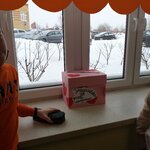 Powiększ zdjęcie: 20210209_091130.jpg