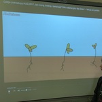Powiększ zdjęcie: IMG_5731.JPEG