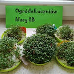 Powiększ zdjęcie: received_429730164780349.jpg