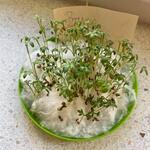 Powiększ zdjęcie: received_468484037851635.jpg