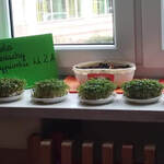 Powiększ zdjęcie: received_799468947443126.jpg