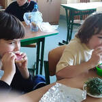 Powiększ zdjęcie: received_312336836895259.jpg