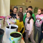 Powiększ zdjęcie: IMG_5782.jpg