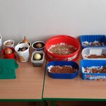 Powiększ zdjęcie: 20210309_122700.jpg