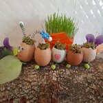 Powiększ zdjęcie: 20210326_114615.jpg