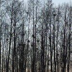 Powiększ zdjęcie: IMG_20210422_190028.jpg