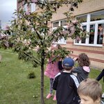 Powiększ zdjęcie: IMG_20210513_140313.jpg