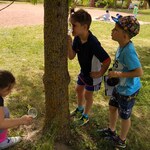 Powiększ zdjęcie: IMG_20210615_135736.jpg