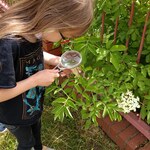 Powiększ zdjęcie: IMG_20210615_142114.jpg