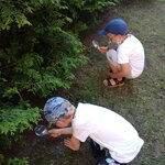 Powiększ zdjęcie: IMG_20210618_082805.jpg
