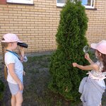 Powiększ zdjęcie: IMG_20210618_082546.jpg